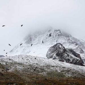Income Tax Calculator